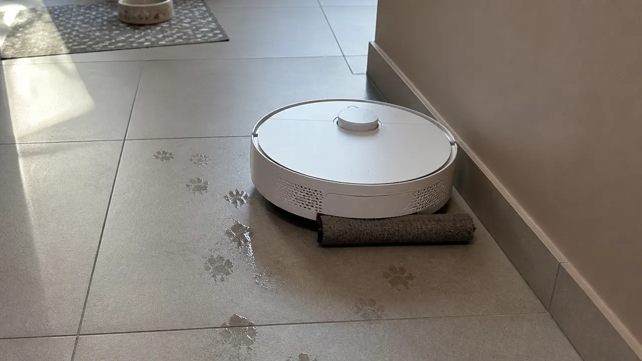 Robot laveur sur des traces de pattes près d’une plinthe